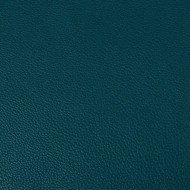  W6021 #13 marine 1,2 