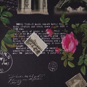 ��� 300� ������ CSY7351 ���
