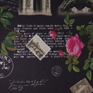��� 300� ������ CSY7351 ���