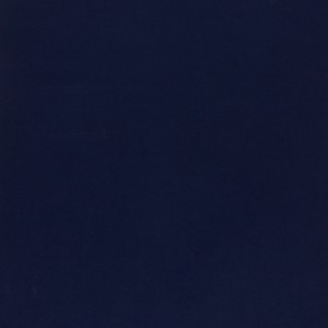  600D 330 dk.blue tint 1